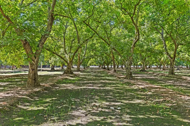 $932,000 | 609 Meyers Avenue, Gridley, CA 95948