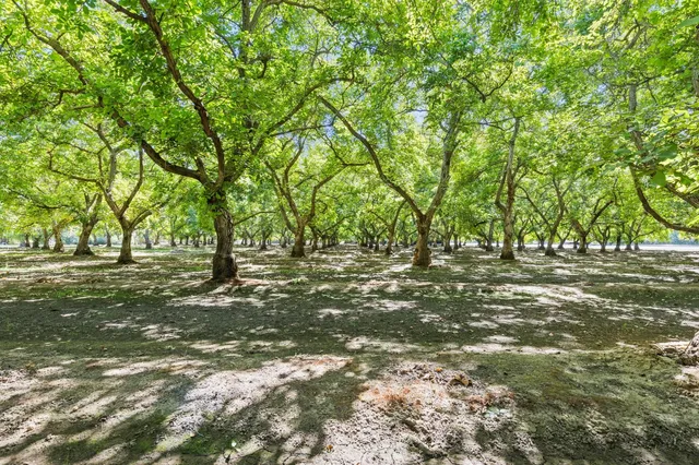 $932,000 | 609 Meyers Avenue, Gridley, CA 95948