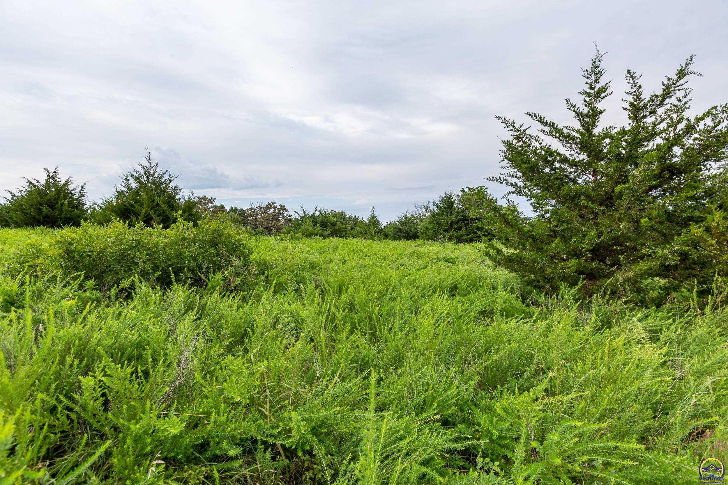 0 198th Road Holton, KS 66436 - Photo 60 of 94 Gallery Image 60