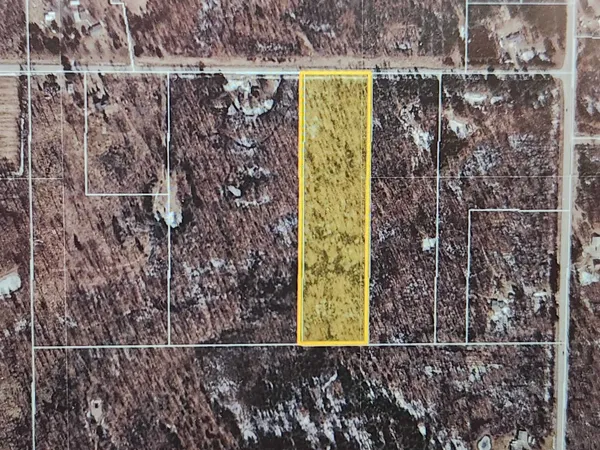 $60,000 | V/l West Howard Road, Gladwin, MI 48624