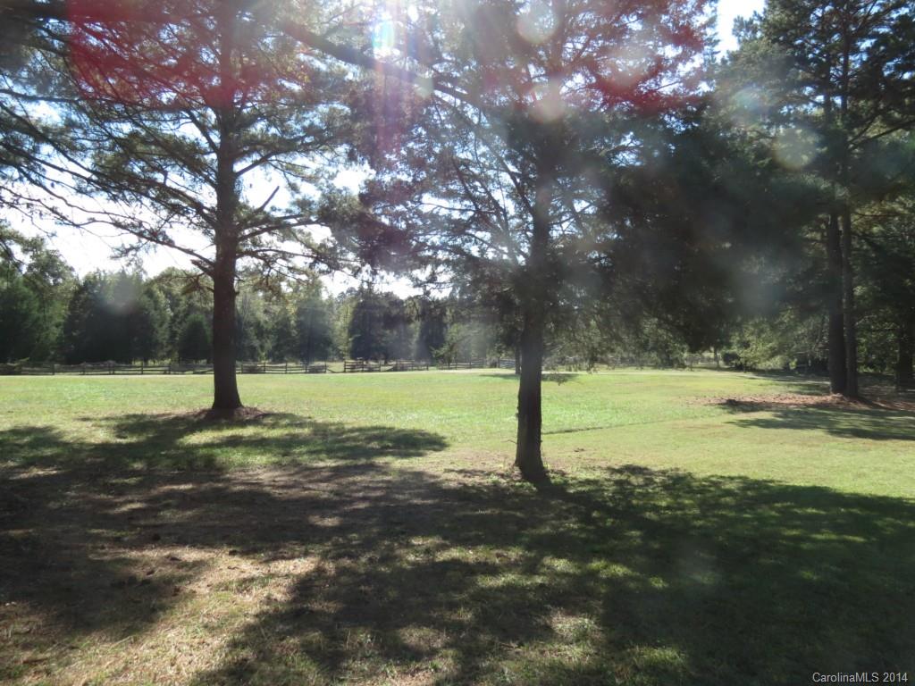 4655 Percival Road Rock Hill, SC 29730 - Photo 4 of 14 a view of a tree in a yard