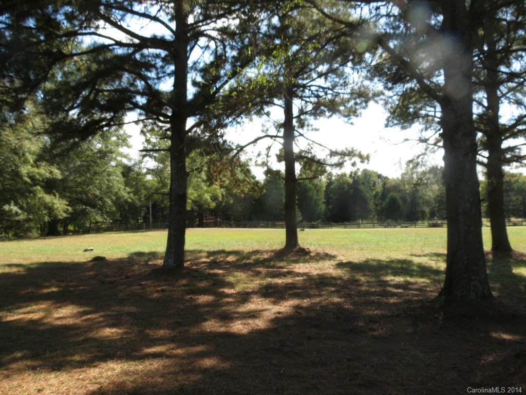 4655 Percival Road Rock Hill, SC 29730 - Photo 5 of 14 a view of a yard with a tree