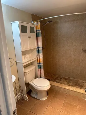 a white toilet sitting next to a shower curtain