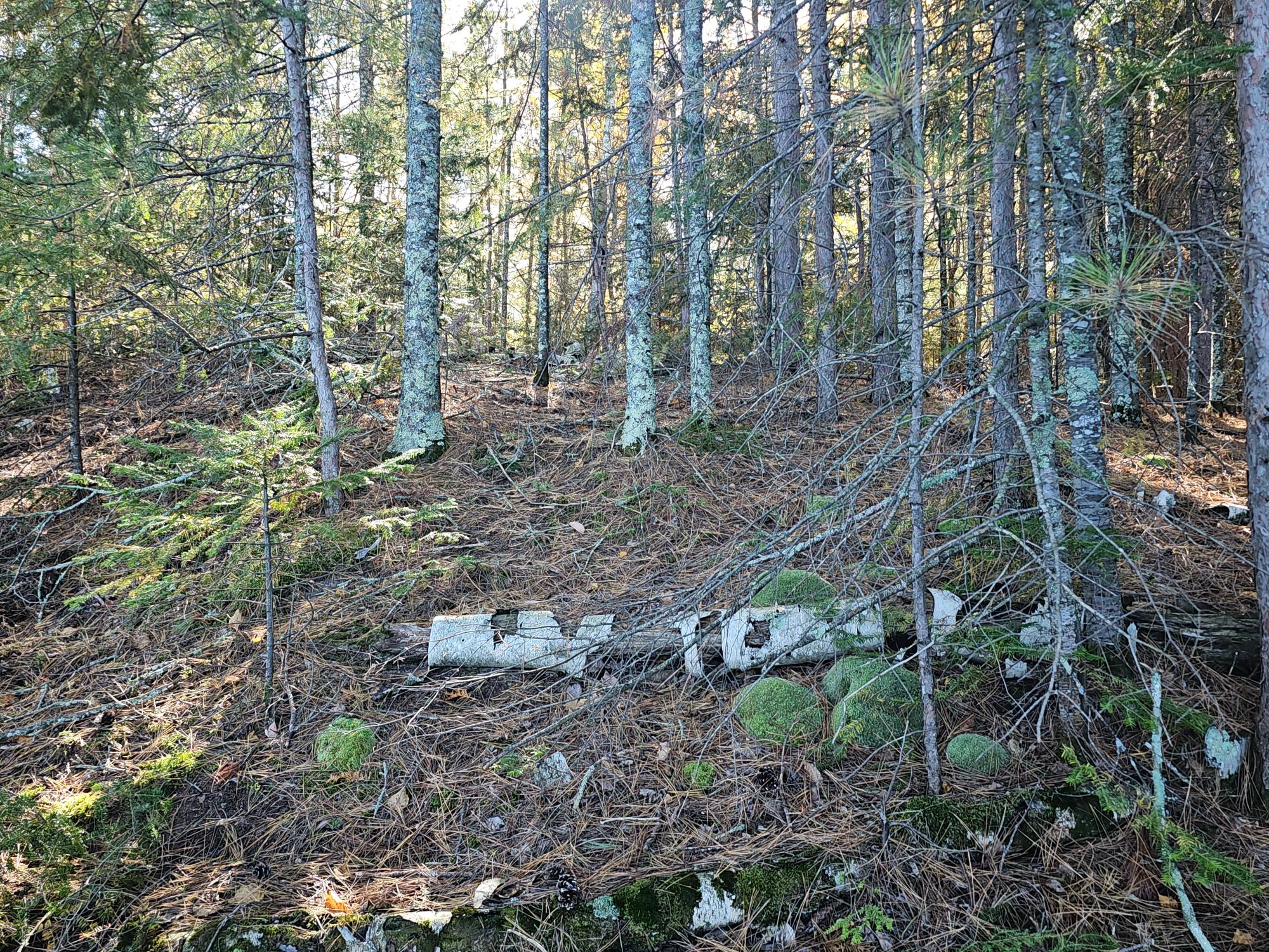 Near Ridgeway Drive Lake Tomahawk, WI 54539 - Photo 15 of 29 Gallery Image 15