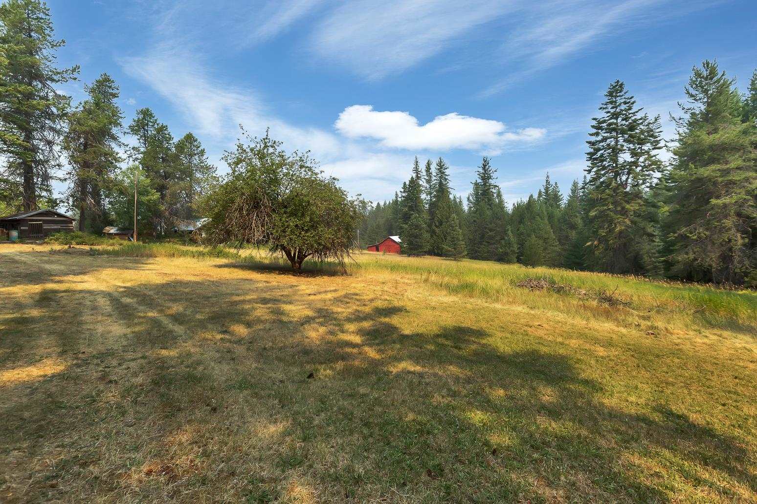 972 Turner Road Newport, WA 99156 - Photo 33 of 50 Gallery Image 33