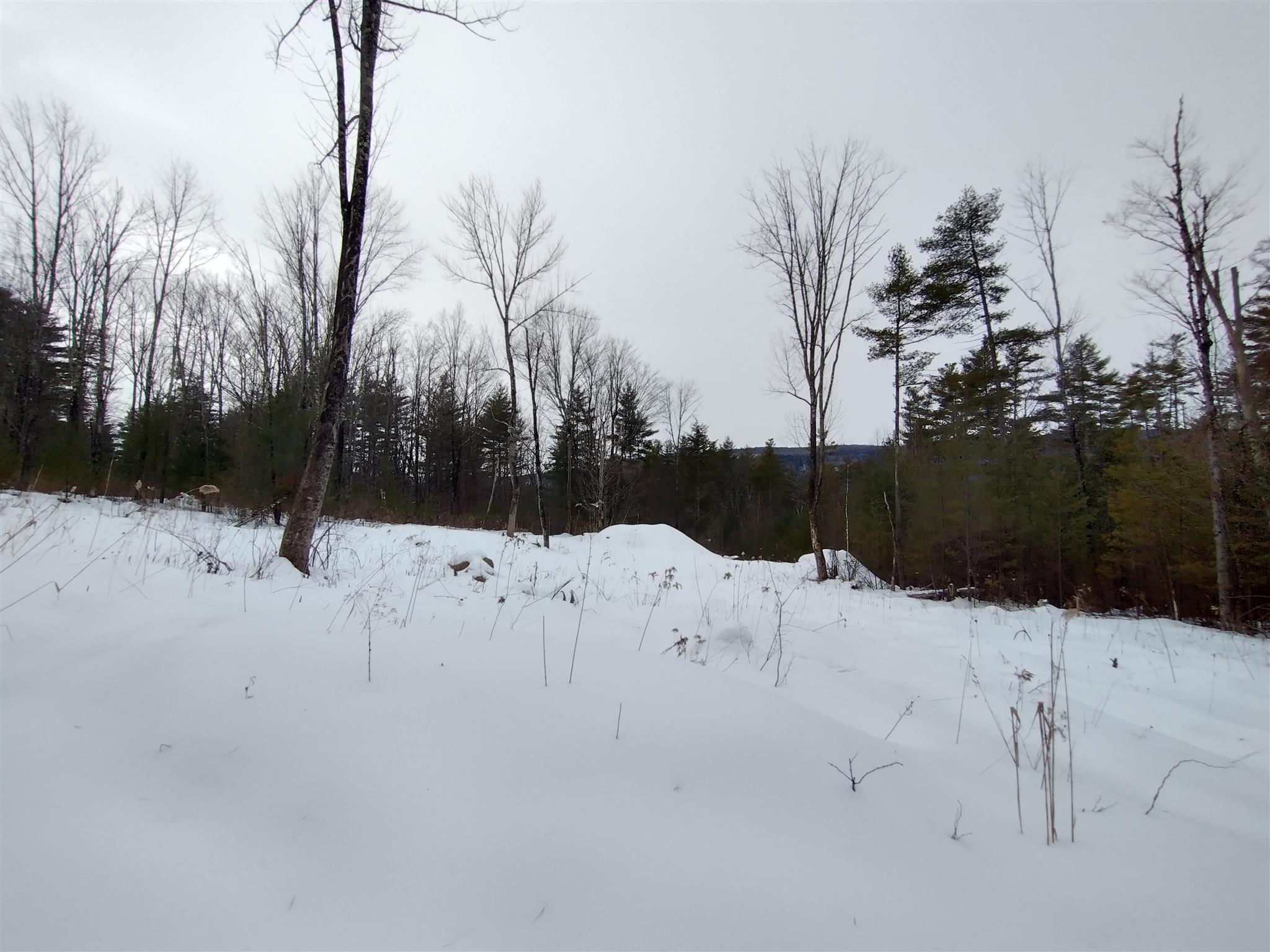 240 Haven Hill Road Wallingford, VT 05773 - Photo 11 of 12 Gallery Image 11