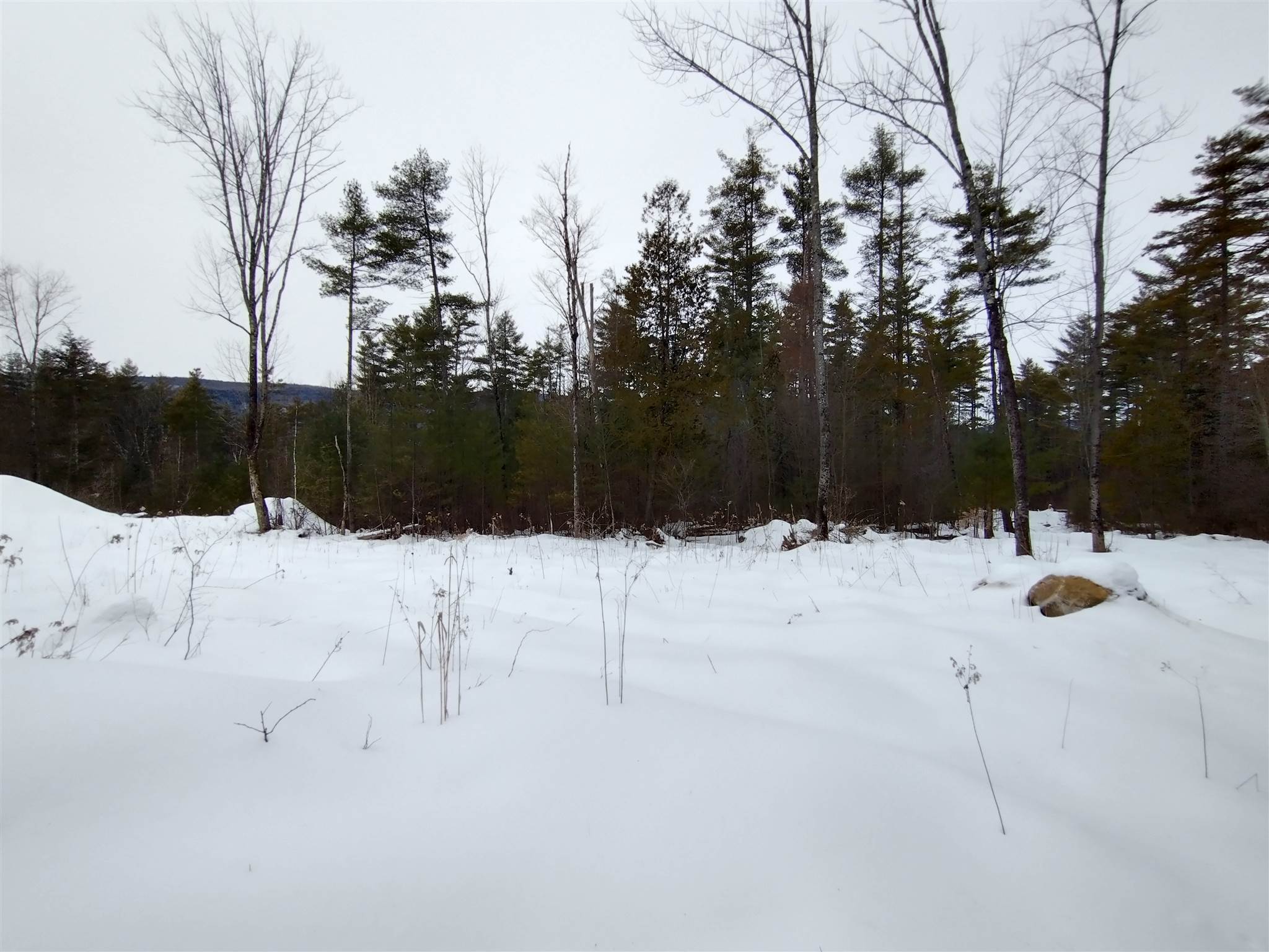240 Haven Hill Road Wallingford, VT 05773 - Photo 12 of 12 Gallery Image 12
