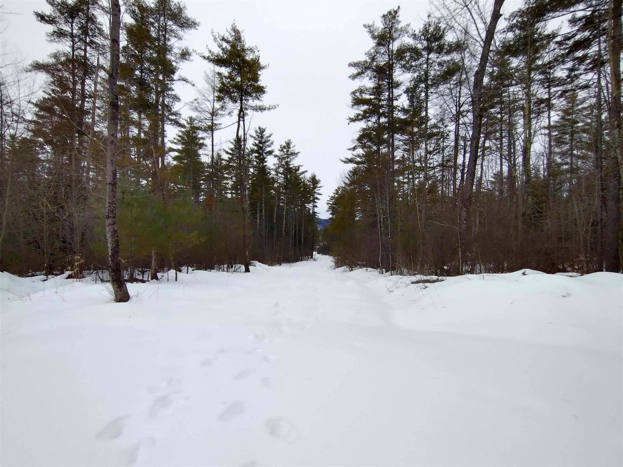 240 Haven Hill Road Wallingford, VT 05773 - Photo 10 of 12 Gallery Image 10