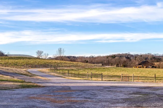 a view of backyard of house