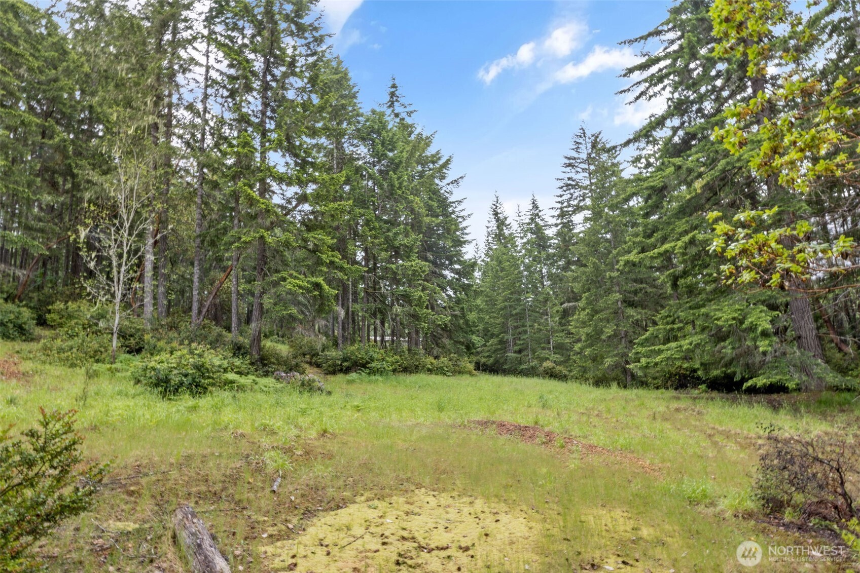 100 East Twanoh Heights Road South Belfair, WA 98528 - Photo 33 of 40 a view of outdoor space and yard