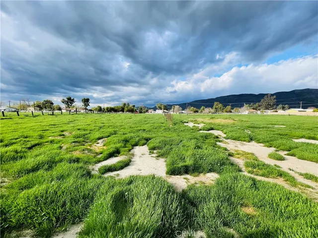 a view of a big yard