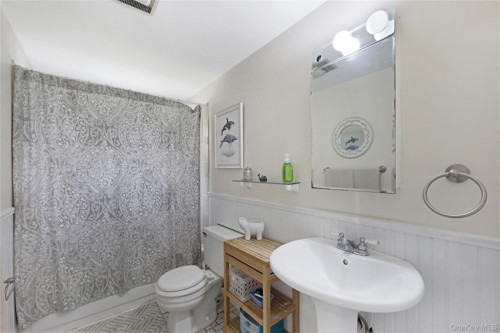 48 Nidzyn Avenue Remsenburg, NY 11960 - Photo 29 of 43 a bathroom with a sink a toilet and a mirror
