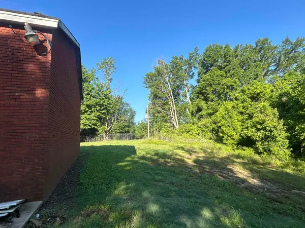 a view of a yard with plants and a large tree