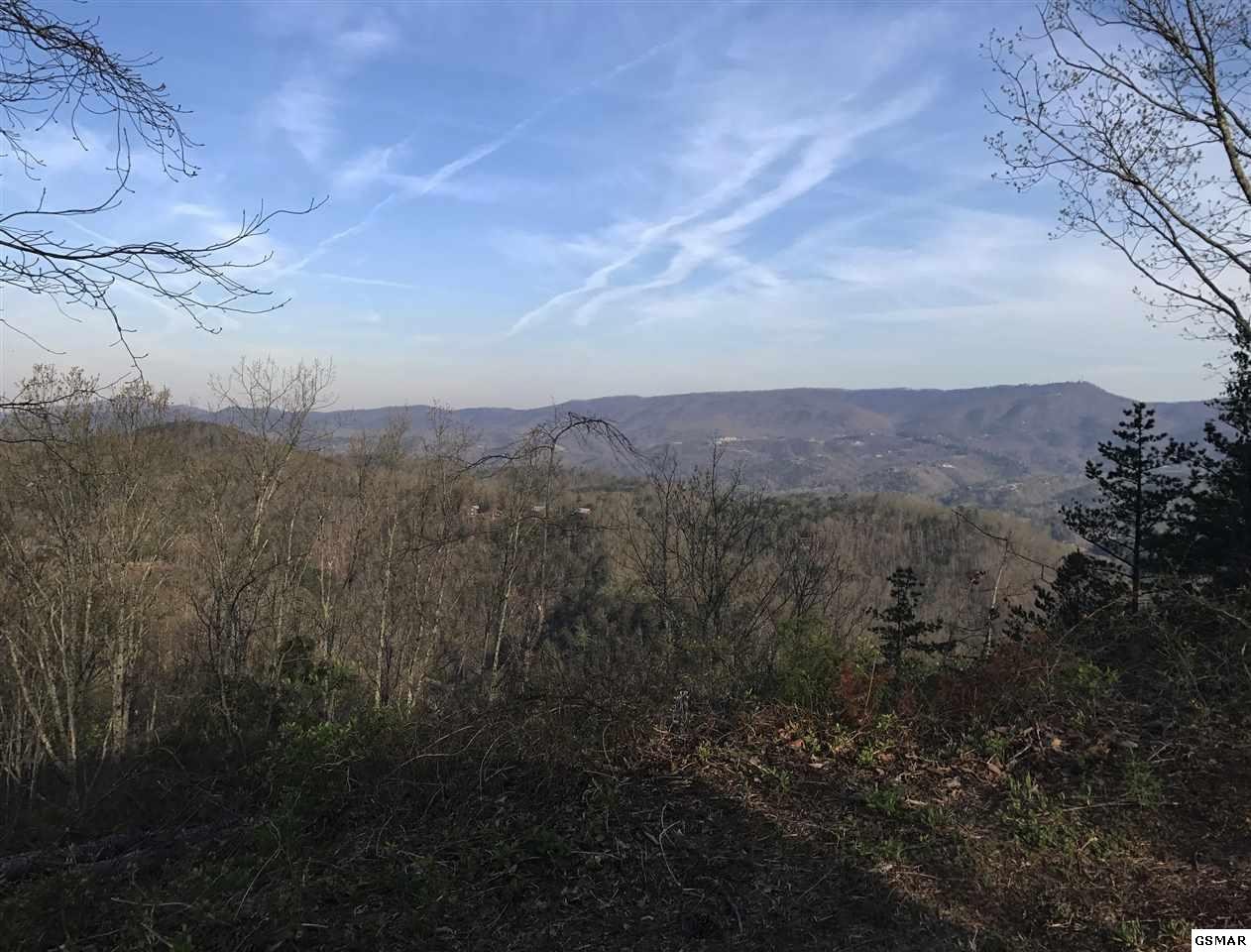 2131 Trace Way, Unit VALLEYVIEW Sevierville, TN 37862 - Photo 5 of 5 Gallery Image 5