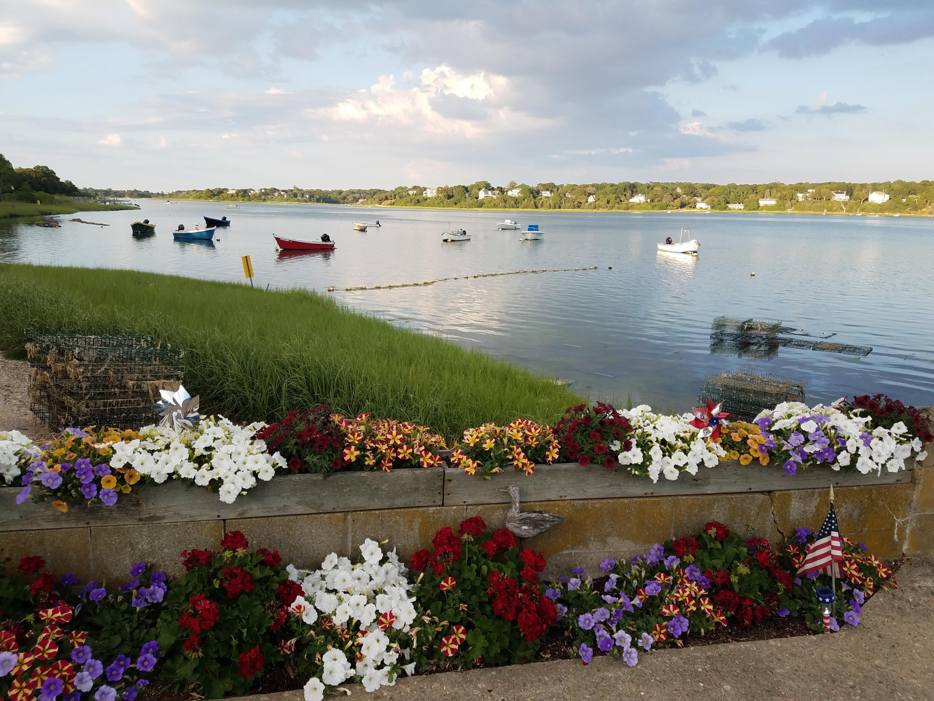 150 State Highway Eastham, MA 02642 - Photo 6 of 45 a view of a lake with a lot of flowers and trees
