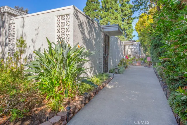 a view of a potted plants with tree in front of it