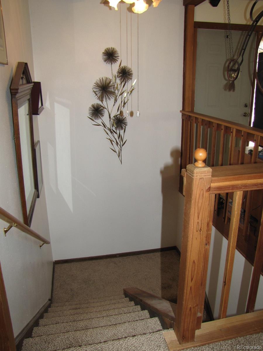 16329 Ouray Road Pine, CO 80470 - Photo 14 of 40