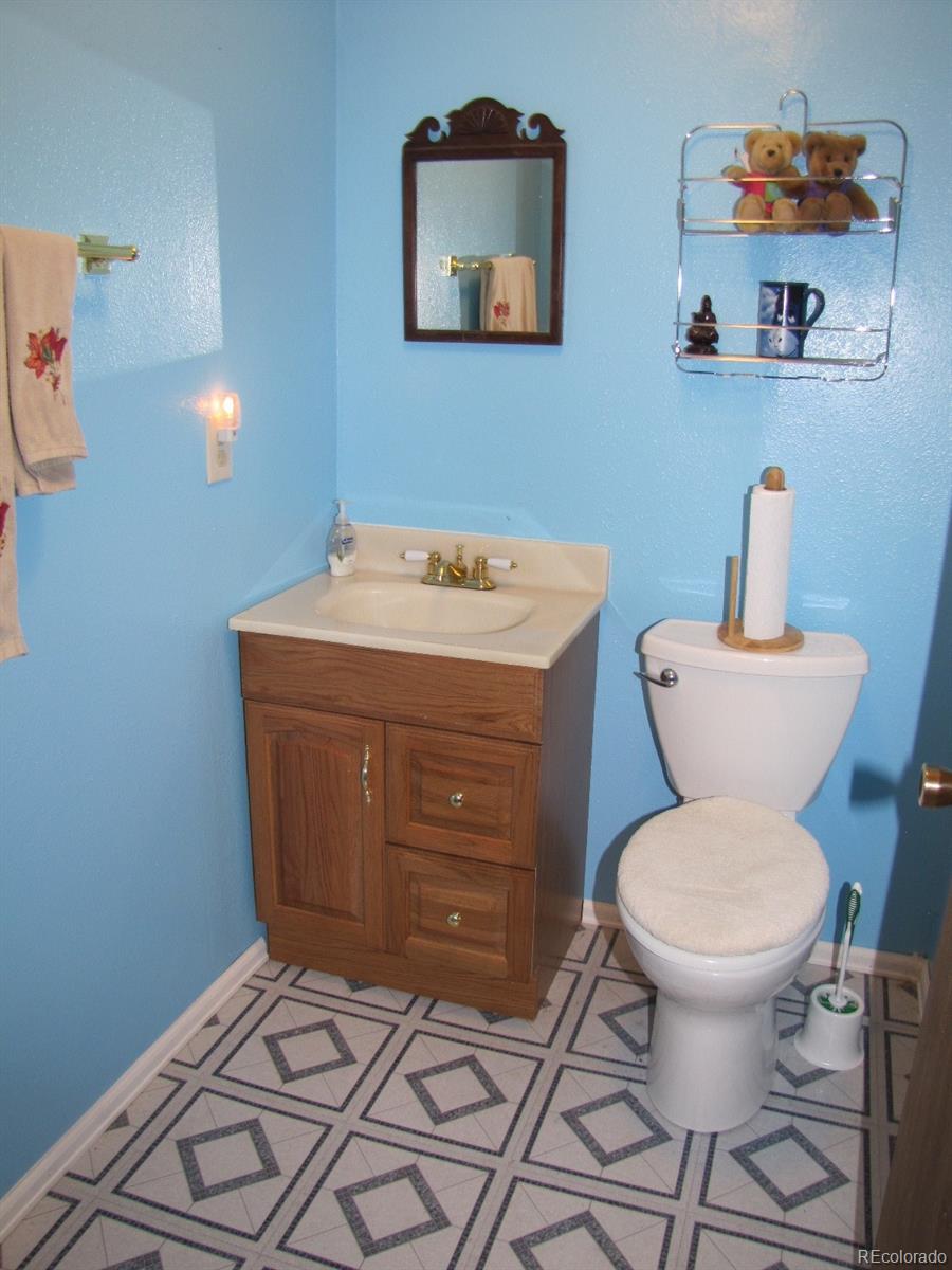 16329 Ouray Road Pine, CO 80470 - Photo 19 of 40