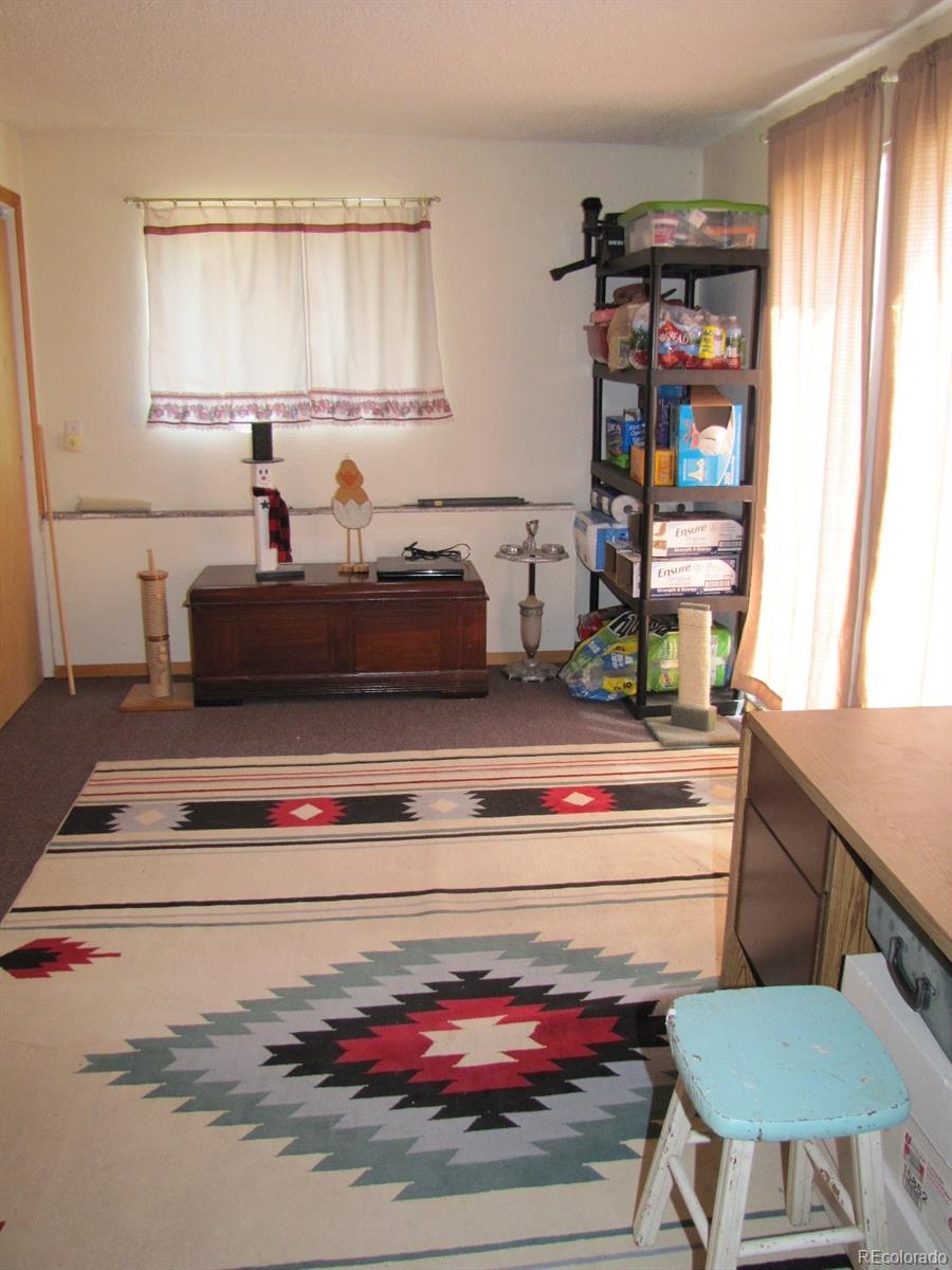 16329 Ouray Road Pine, CO 80470 - Photo 20 of 40