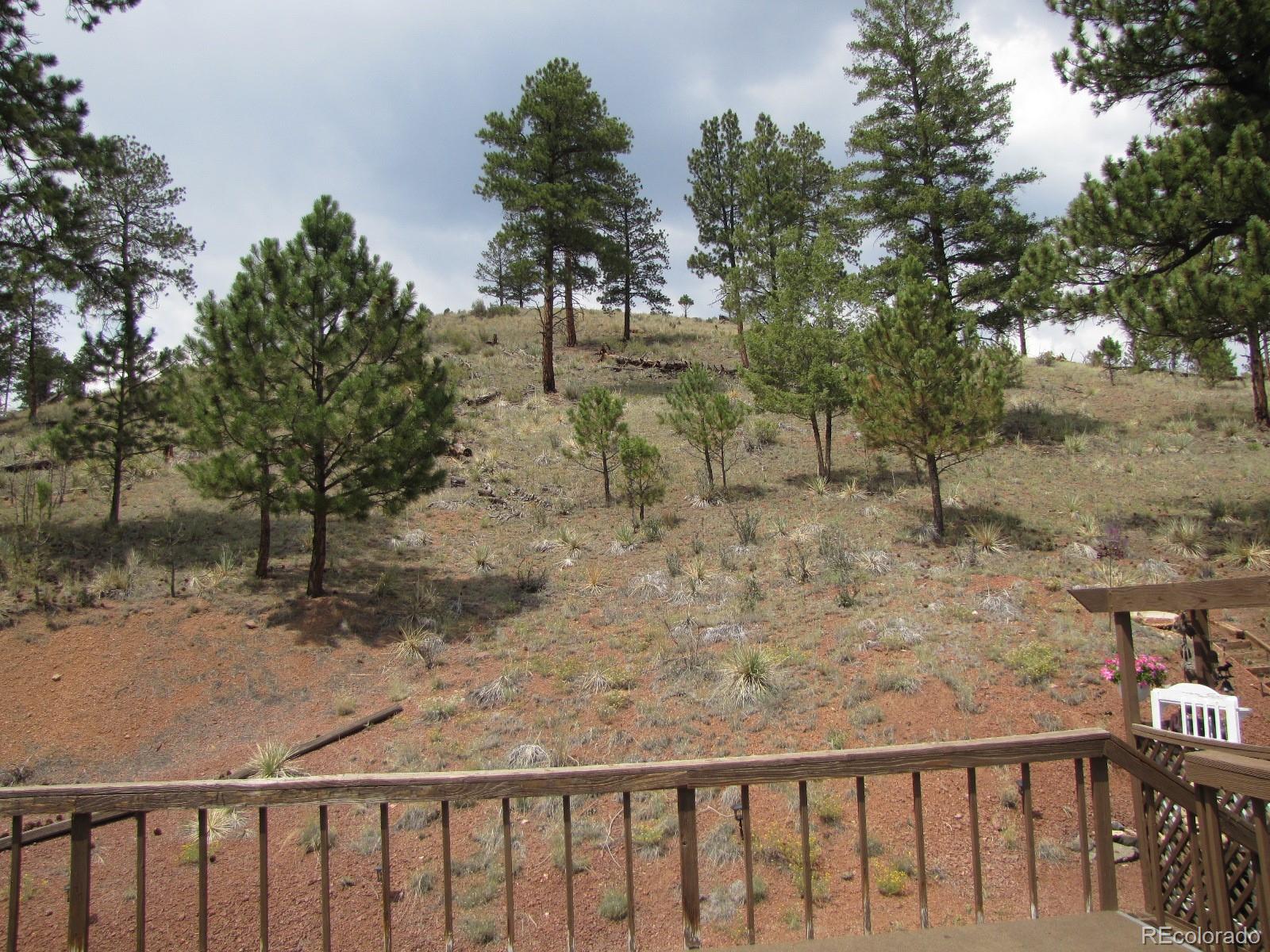 16329 Ouray Road Pine, CO 80470 - Photo 26 of 40