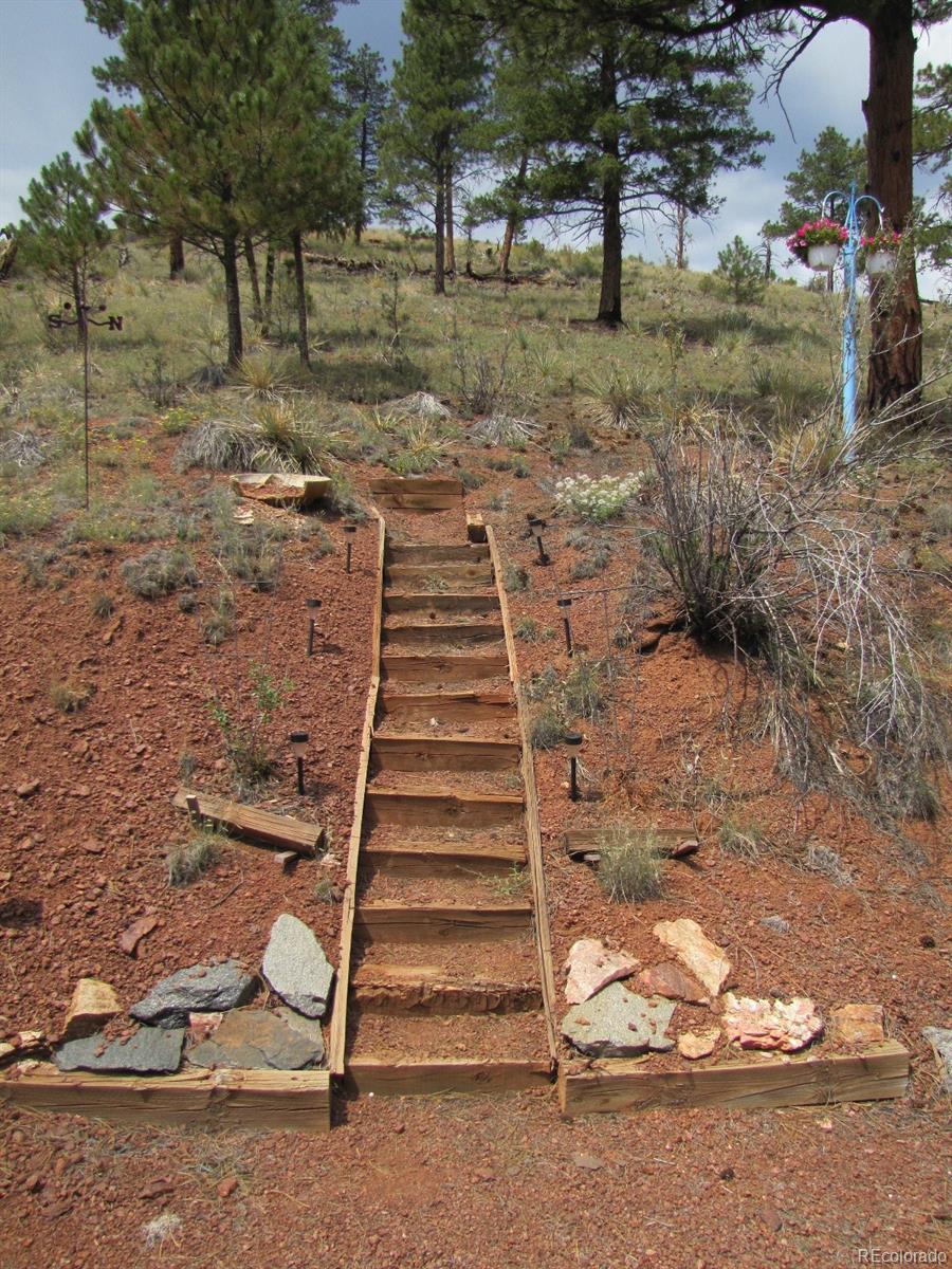 16329 Ouray Road Pine, CO 80470 - Photo 27 of 40