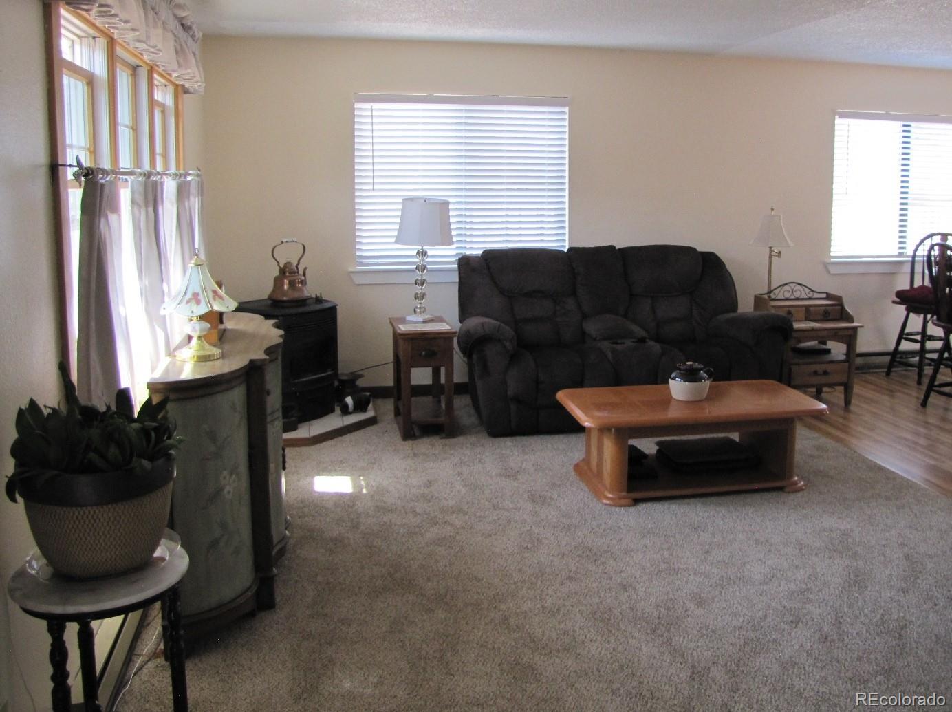 16329 Ouray Road Pine, CO 80470 - Photo 3 of 40