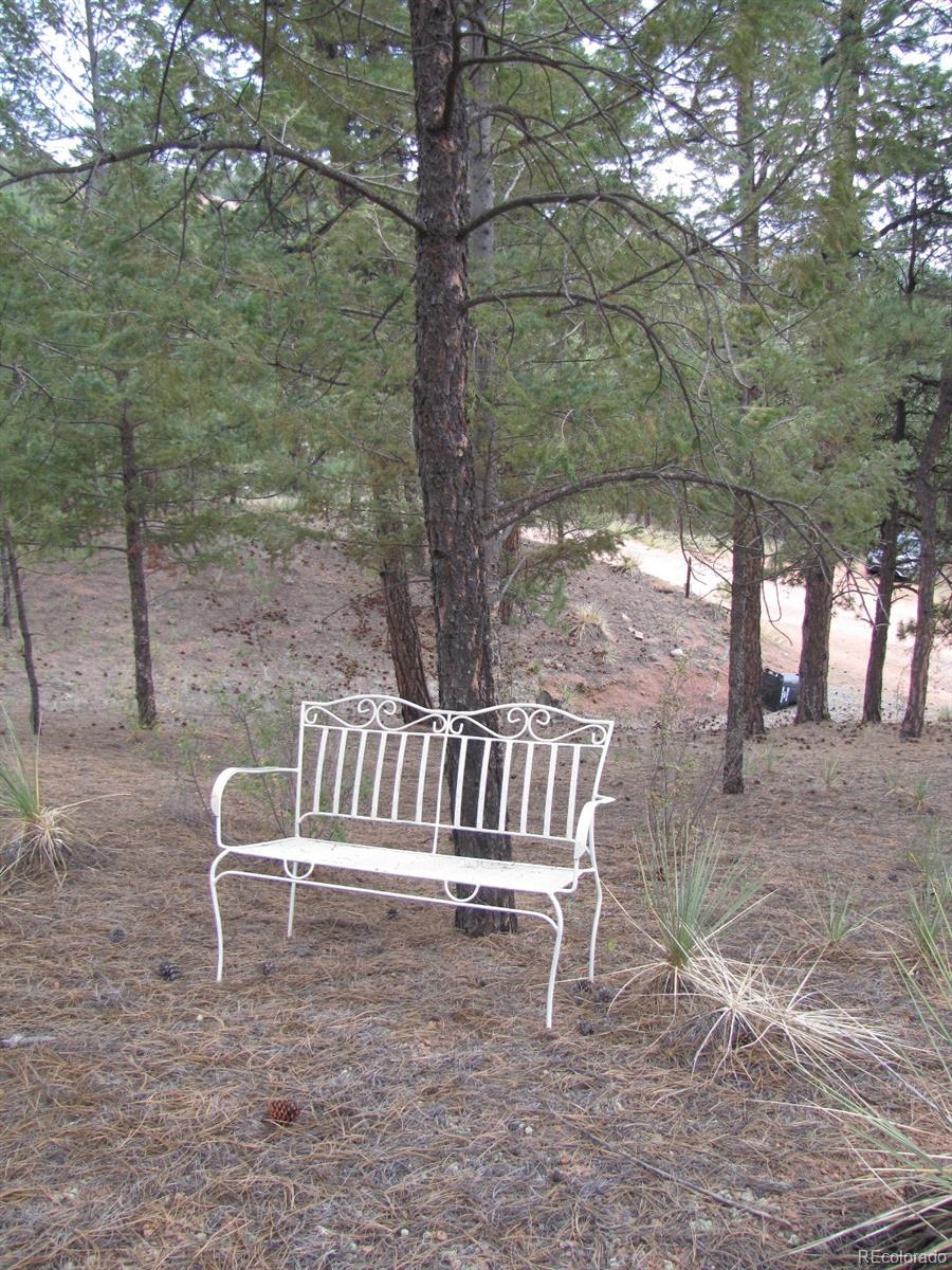 16329 Ouray Road Pine, CO 80470 - Photo 32 of 40