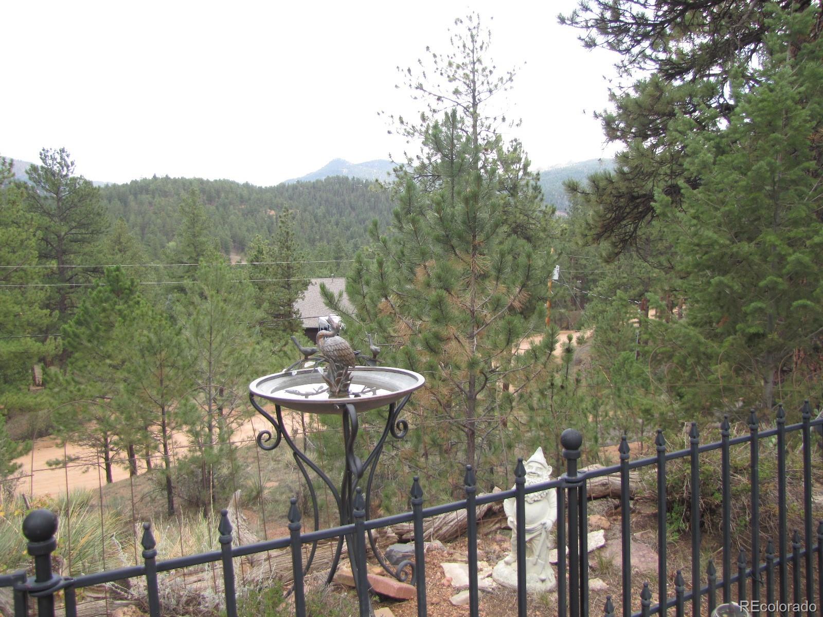 16329 Ouray Road Pine, CO 80470 - Photo 36 of 40