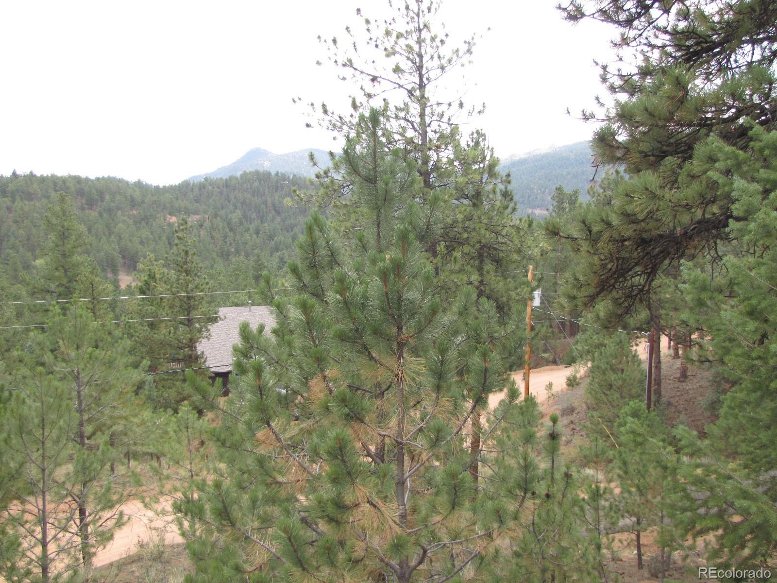 16329 Ouray Road Pine, CO 80470 - Photo 38 of 40