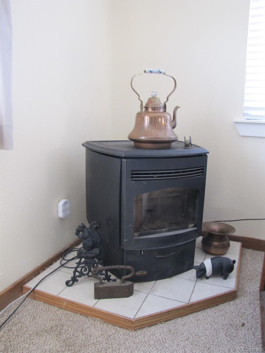 16329 Ouray Road Pine, CO 80470 - Photo 5 of 40