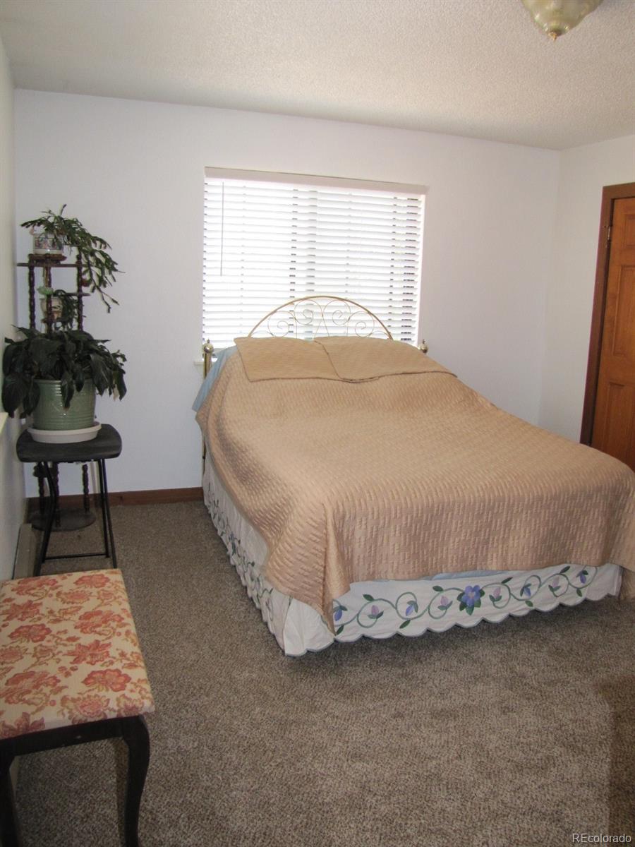 16329 Ouray Road Pine, CO 80470 - Photo 9 of 40