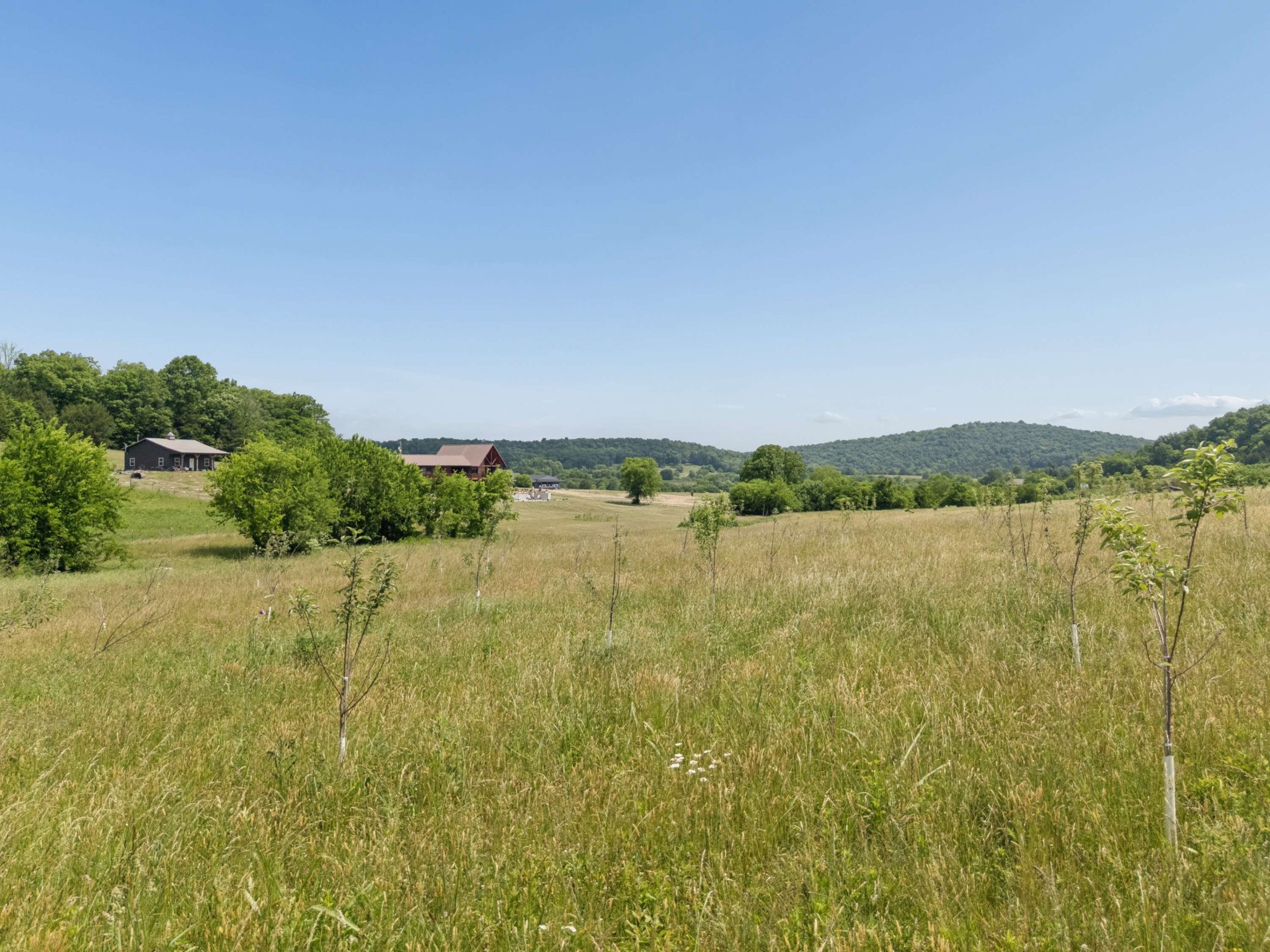 2063 Kennedy Creek Road Auburntown, TN 37016 - Photo 79 of 98