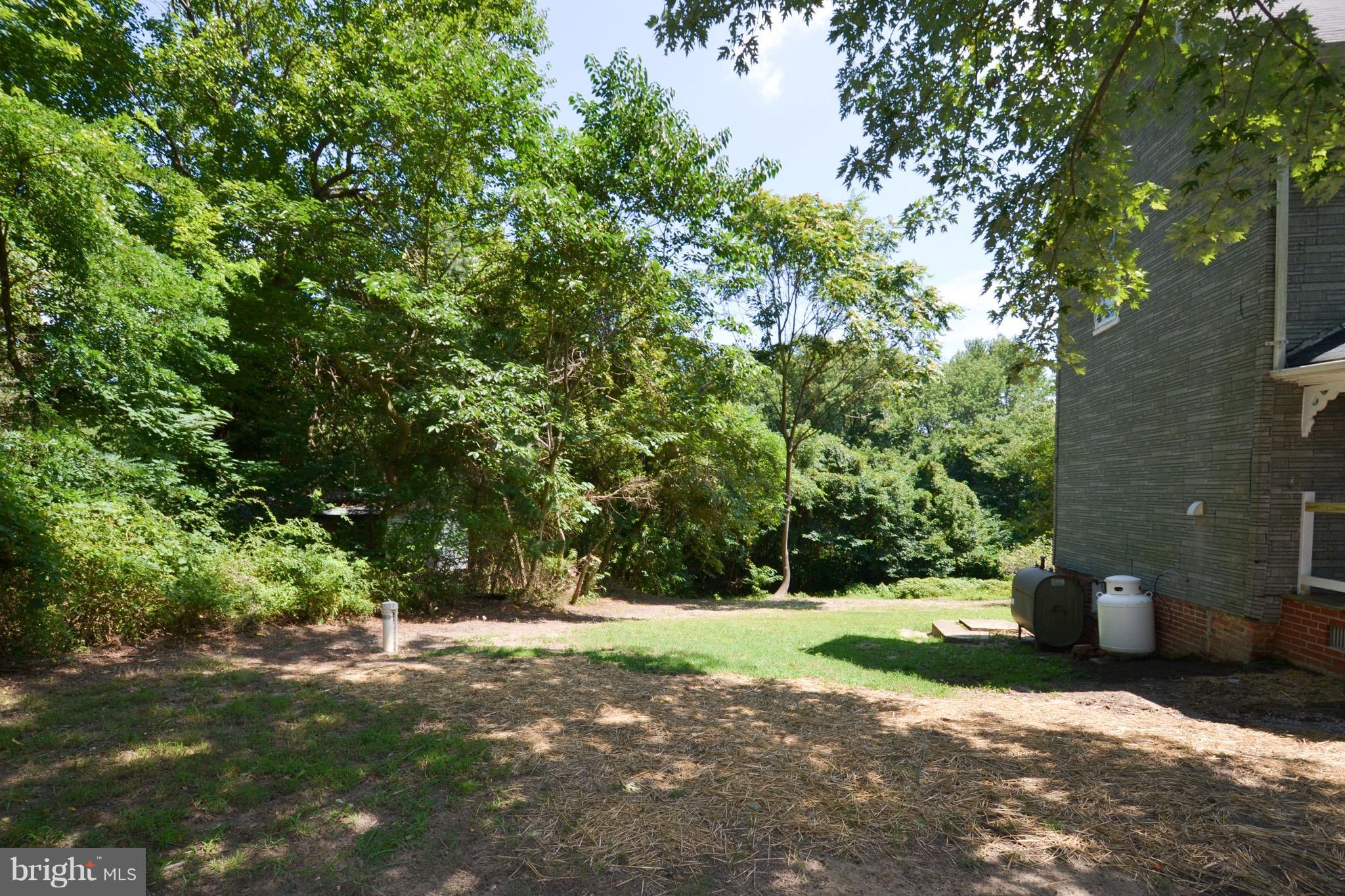 374 Jewell Road Dunkirk, MD 20754 - Photo 6 of 25 a view of a yard with plants and trees
