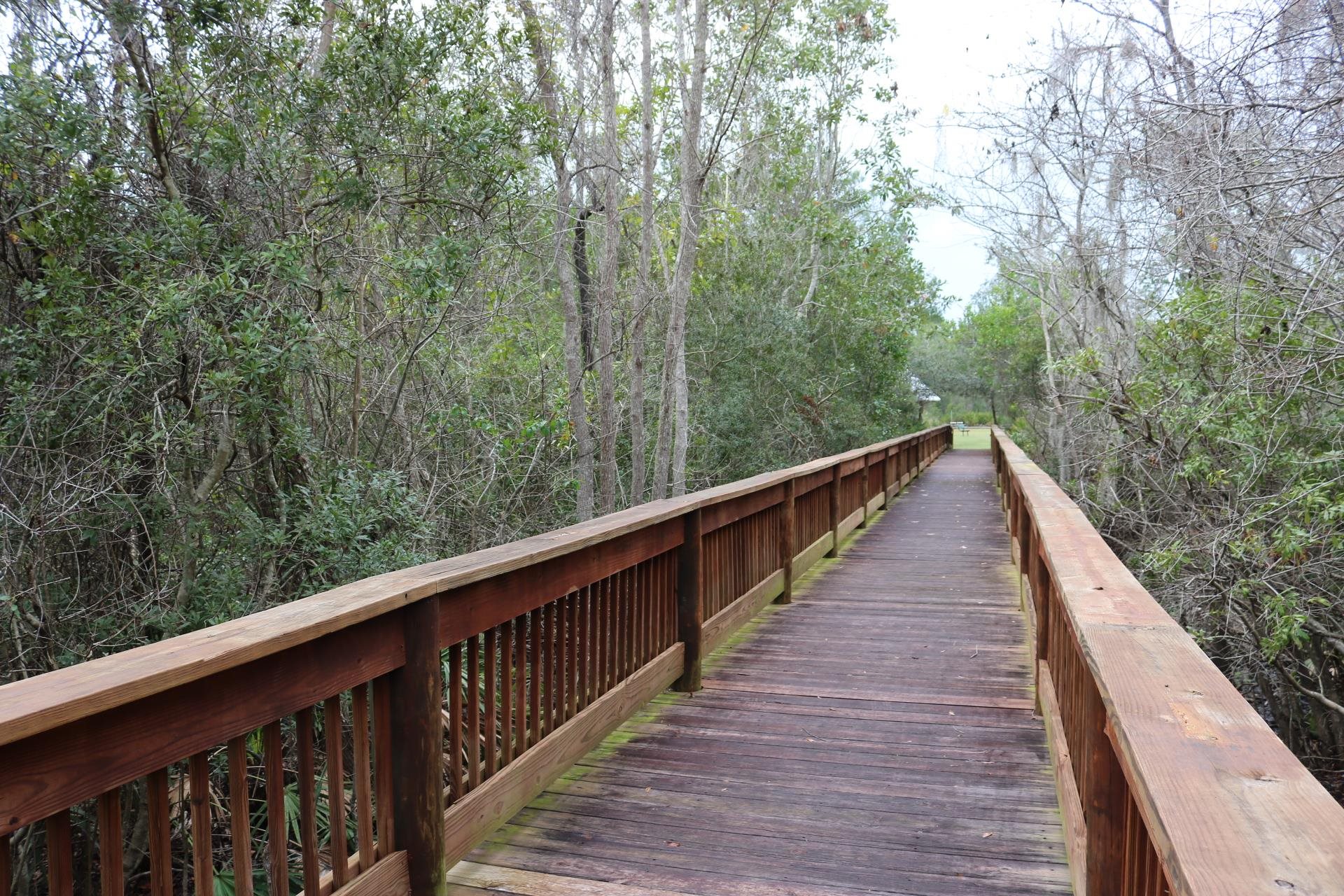 827 East Watson Road St. Augustine, FL 32086 - Photo 26 of 26 a view of balcony and yard