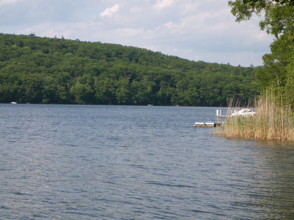 48 Cooper Creek Road Tyringham, MA 01238 - Photo 3 of 9 Goose Pond