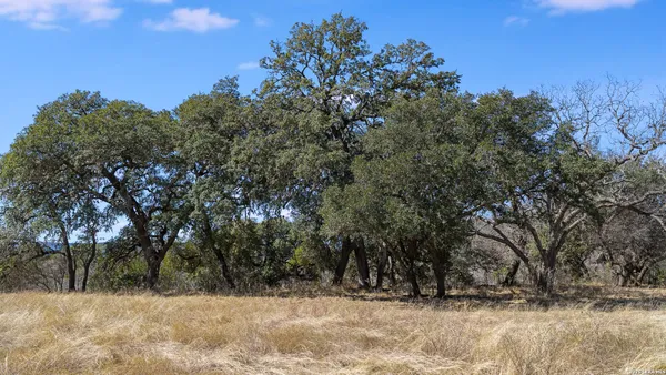 a view of a house with a big yard