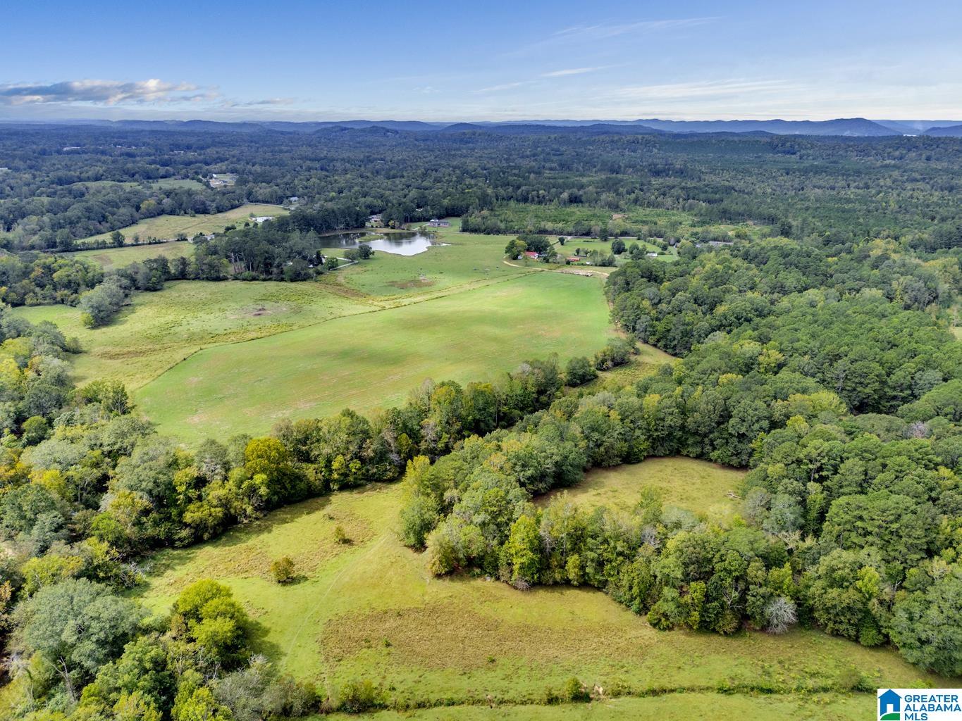44 Nunnally Lake Road Ohatchee, AL 36271 - Photo 33 of 90