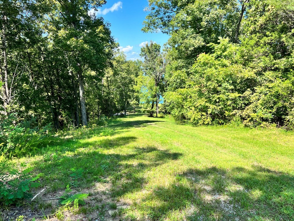 232425 Scott Street Sevierville, TN 37876 - Photo 5 of 34