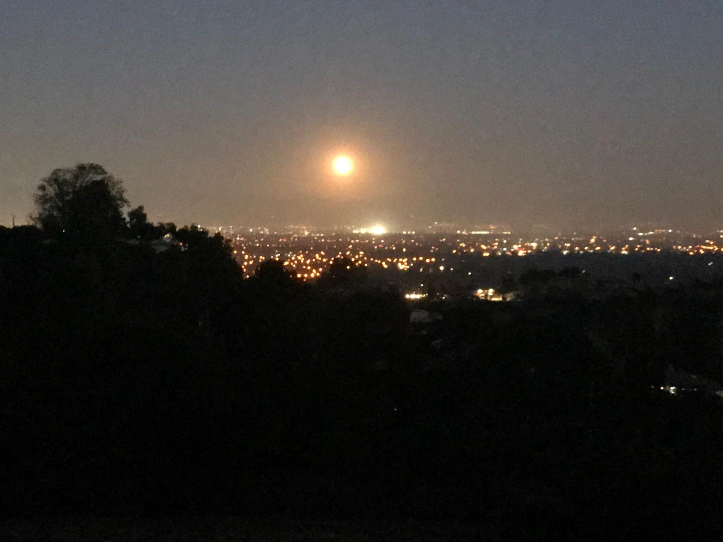 22301 Rolling Hills Road Saratoga, CA 95070 - Photo 31 of 42