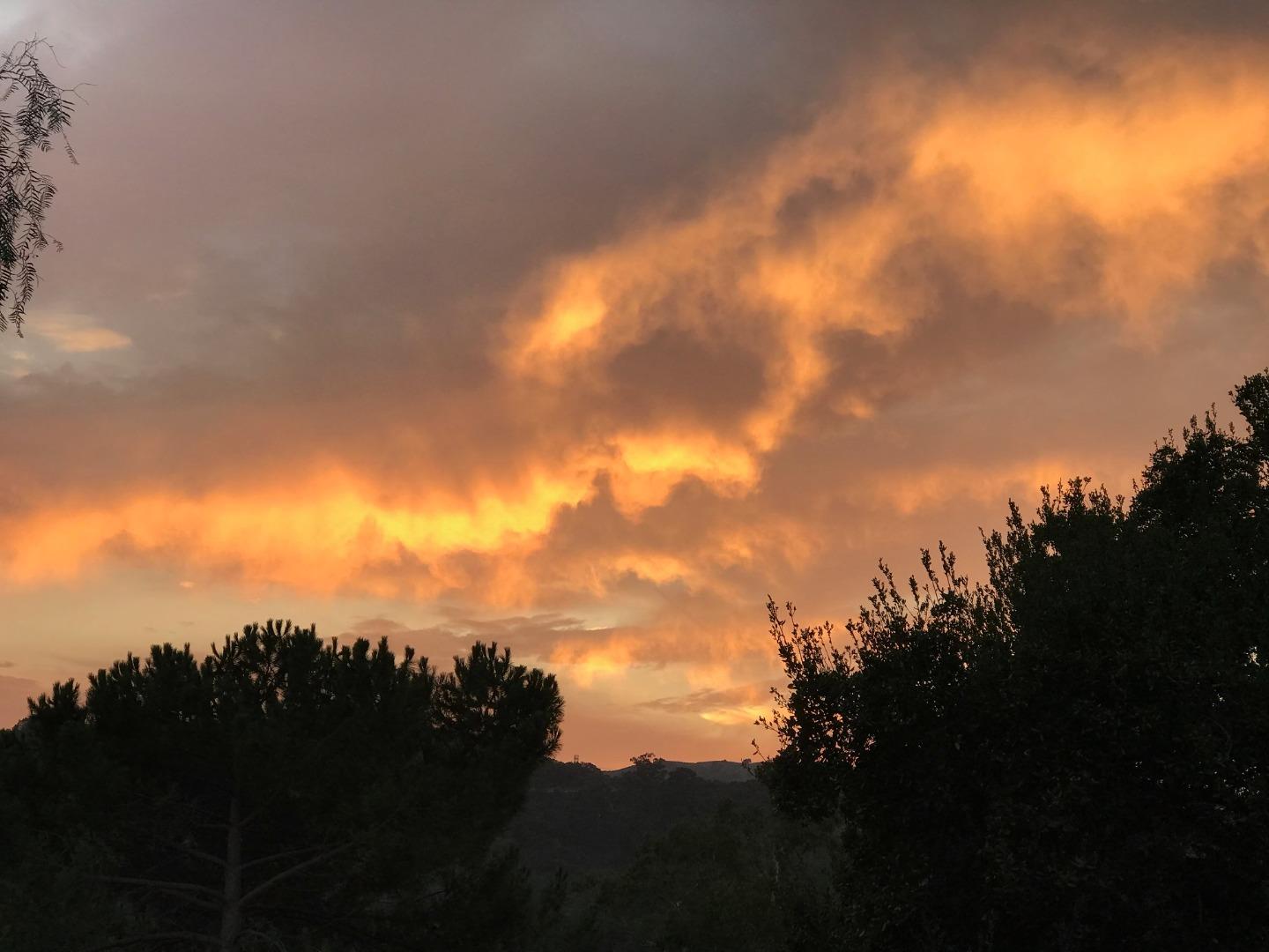 22301 Rolling Hills Road Saratoga, CA 95070 - Photo 33 of 42