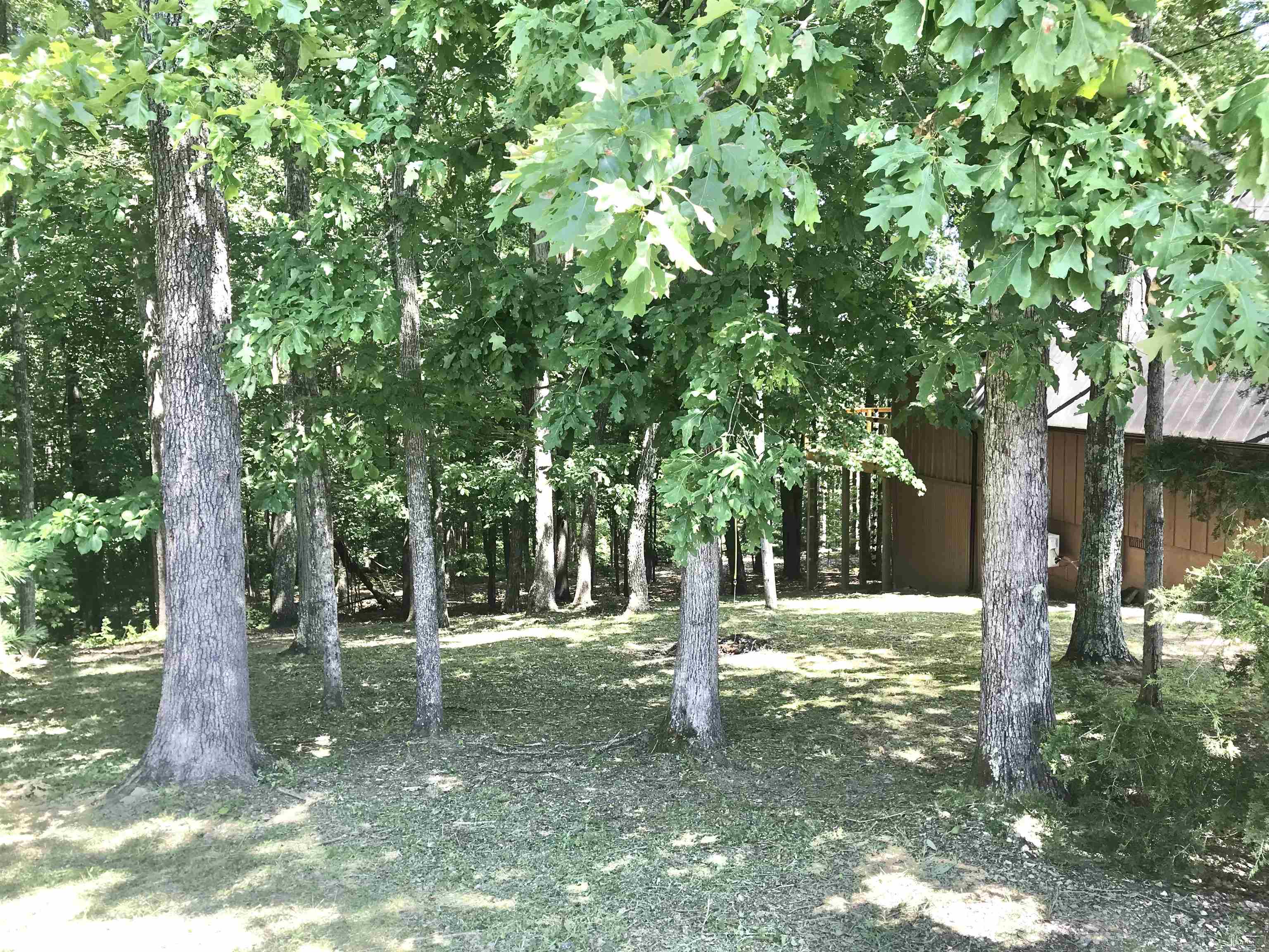 348 Adams Acres Road Wellington, KY 40387 - Photo 21 of 32