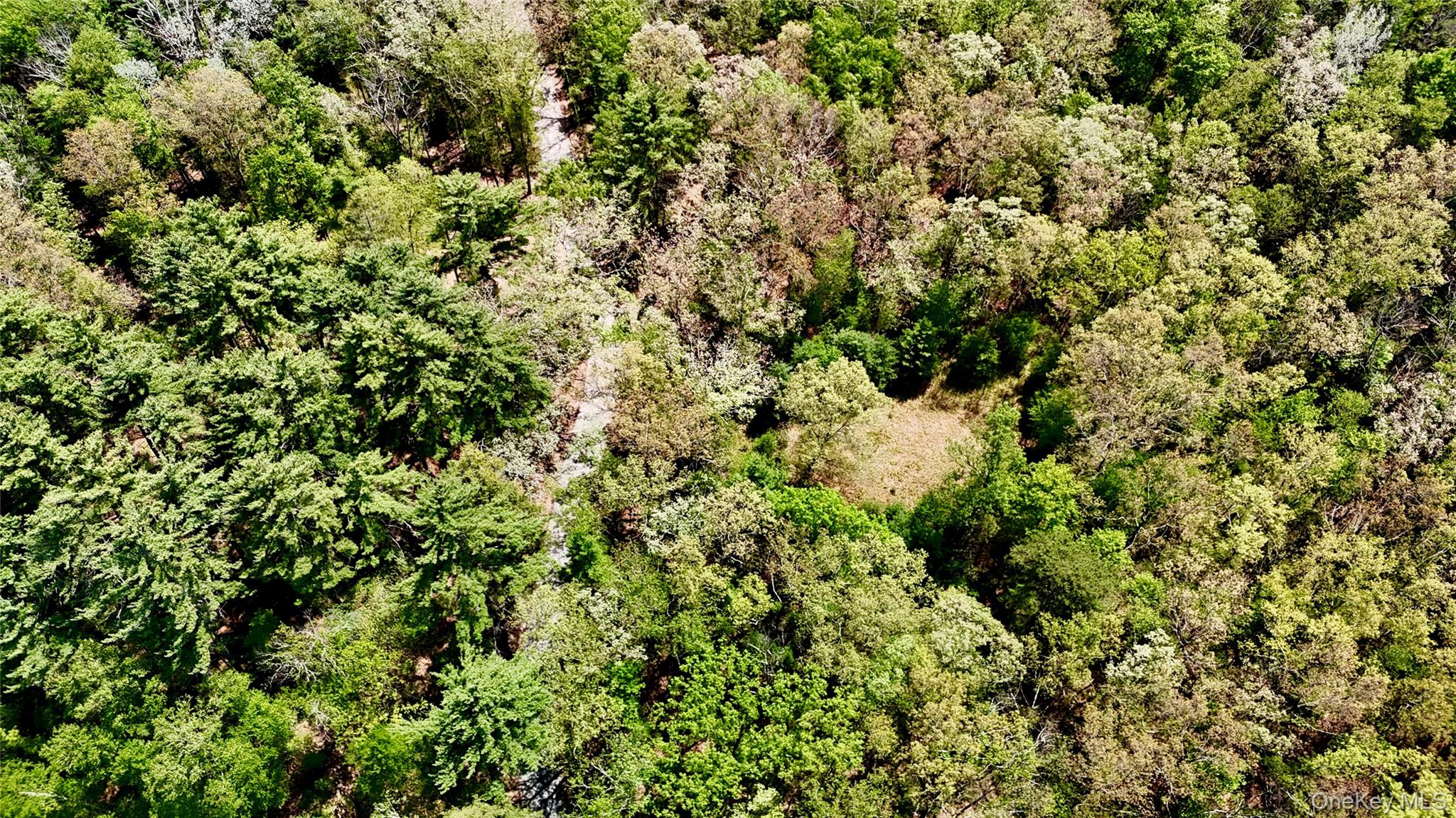 Depot Road Wurtsboro, NY 12790 - Photo 5 of 12 Aerial pictures. Property located to the right of the road, where opening in trees is.