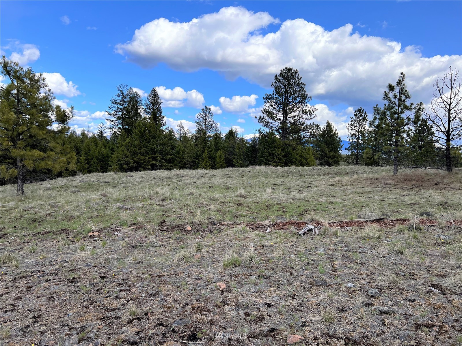 16 Rim Drive Republic, WA 99166 - Photo 7 of 17 a view of a field with trees