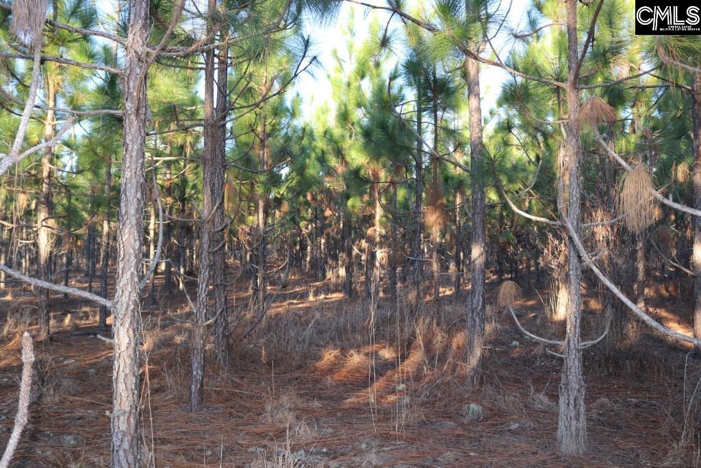 Holstein Road Wagener, SC 29164 - Photo 25 of 26
