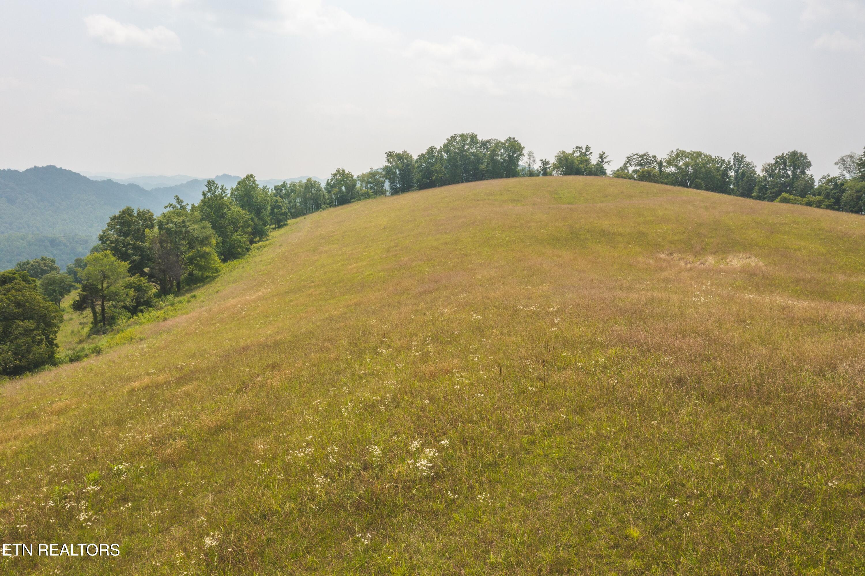 21-22 Big Springs Road Kyles Ford, TN 37765 - Photo 3 of 5 DJI_0785
