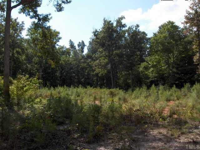 3032 North Lattyes Lane, Unit 4 53 Raleigh, NC 27613 - Photo 1 of 1 a view of a yard