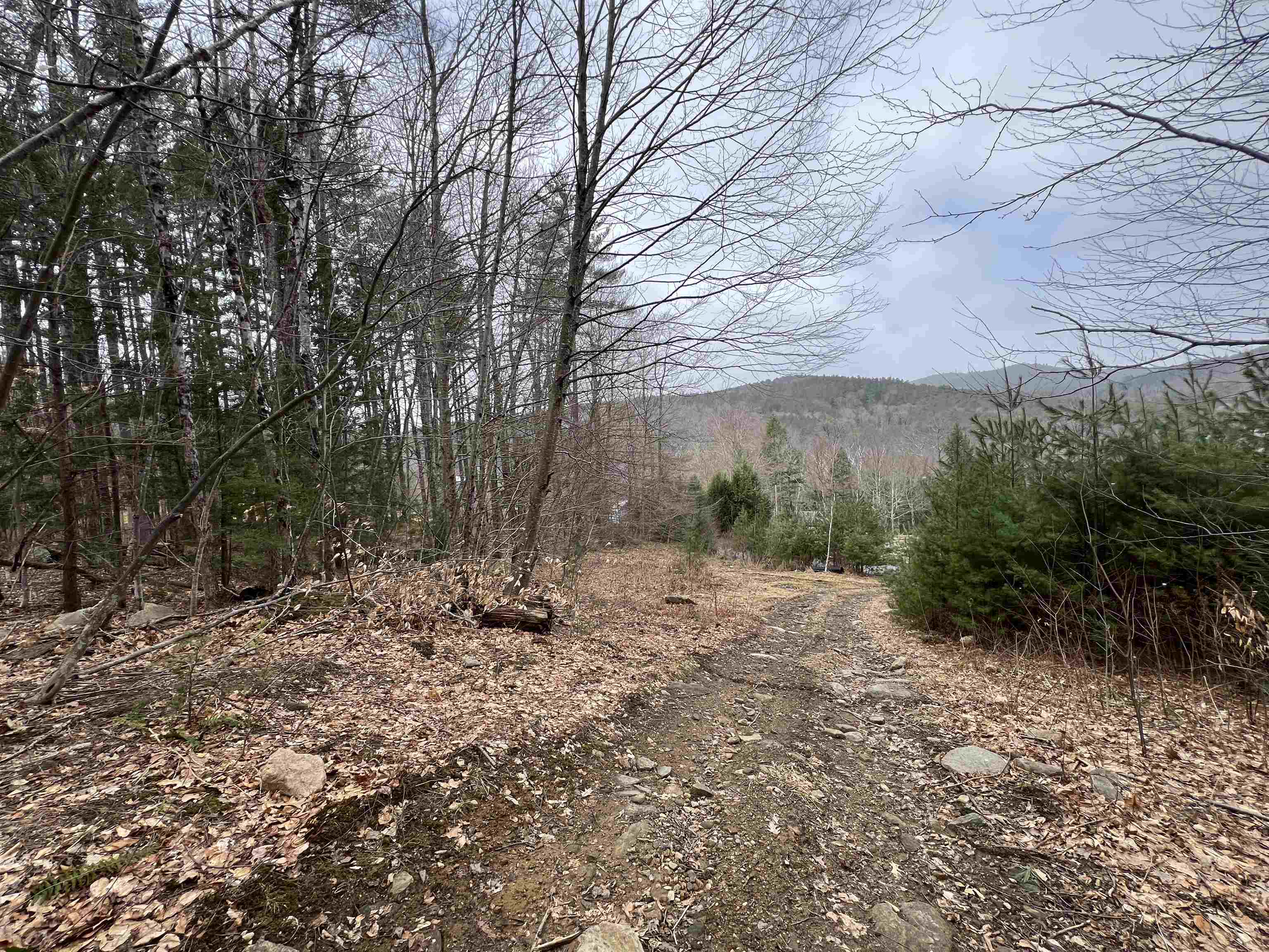 198 East Hill Road Wardsboro, VT 05355 - Photo 30 of 35