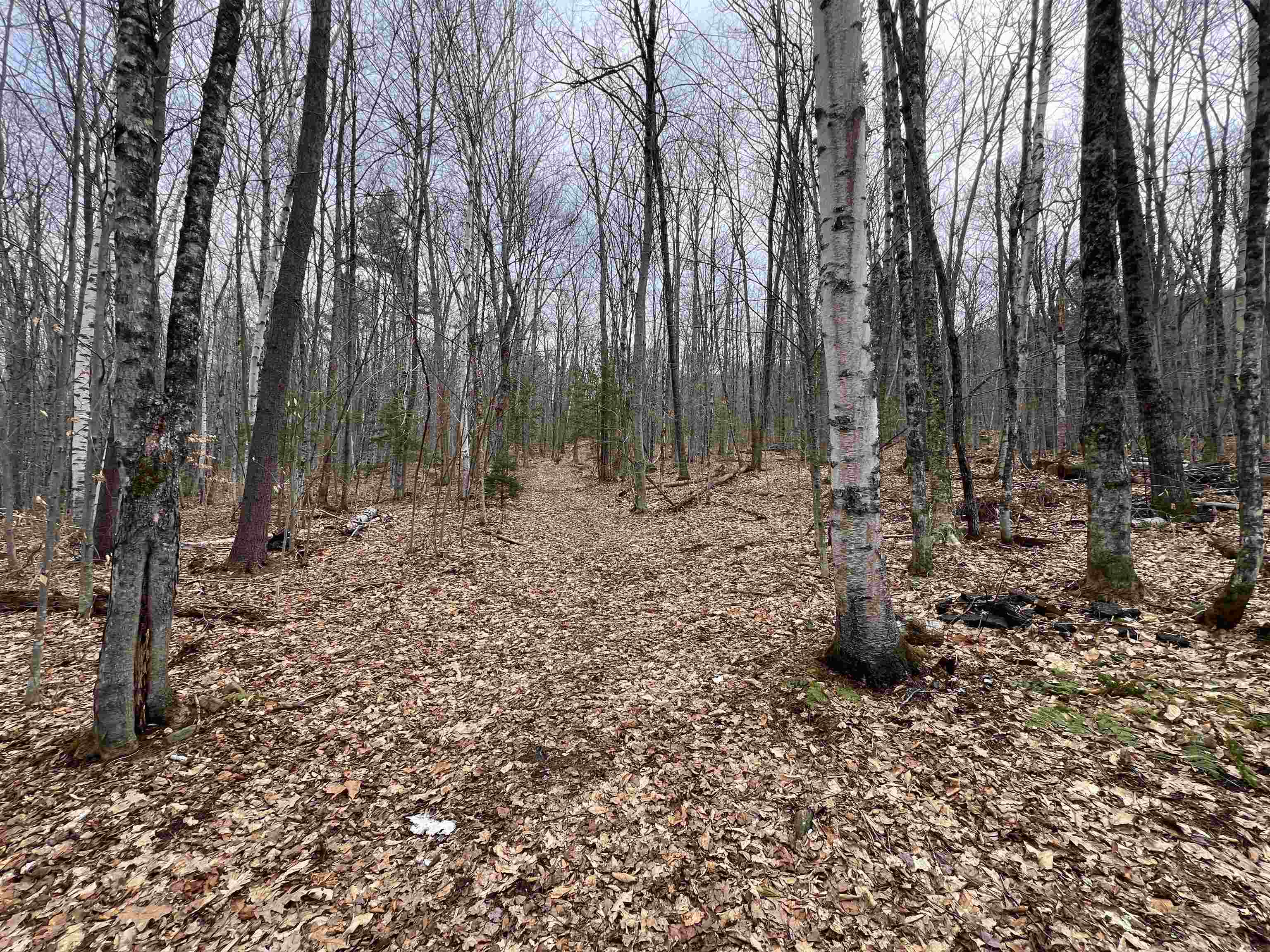 198 East Hill Road Wardsboro, VT 05355 - Photo 31 of 35