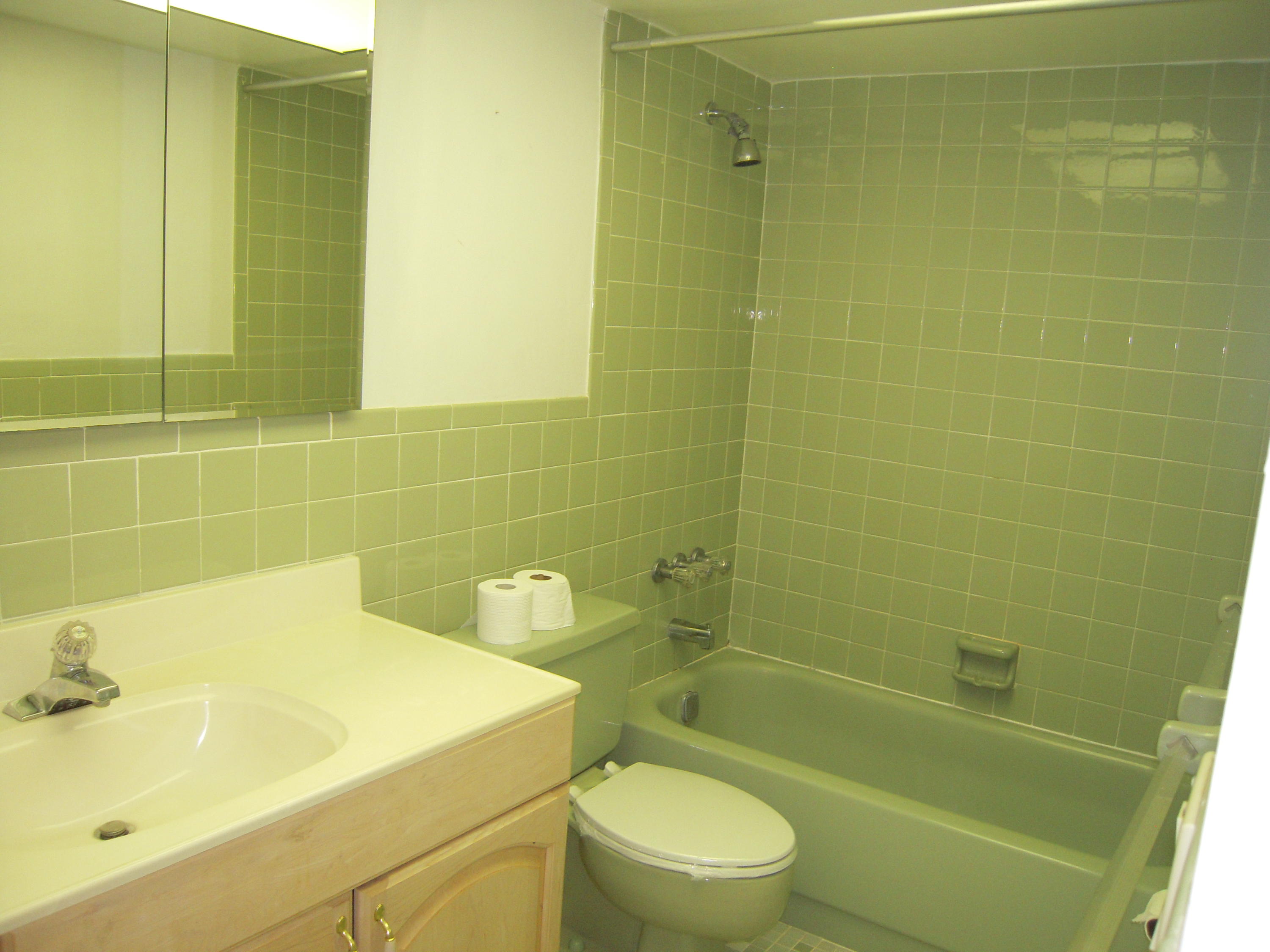660 Dover Street, Unit A10 Boca Raton, FL 33487 - Photo 8 of 17 Guest Bathroom