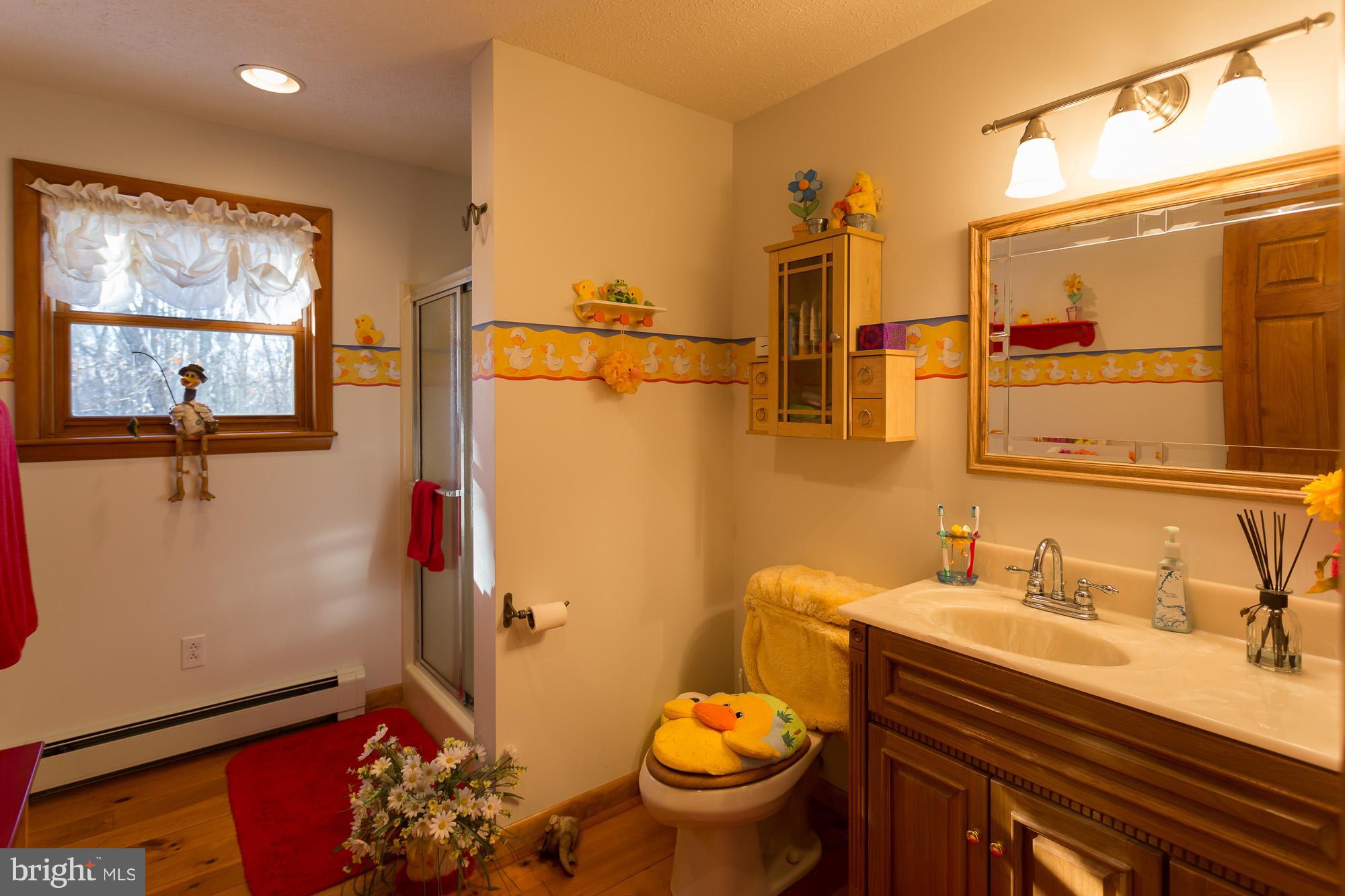 85 Stockslager Road Oakland, MD 21550 - Photo 16 of 30 Bath